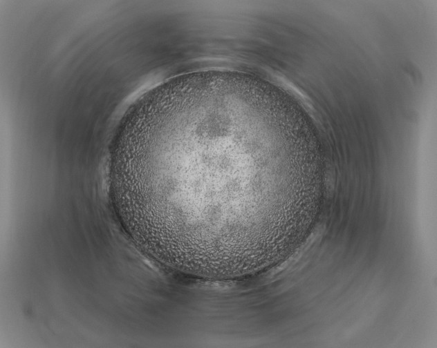 X0000115261411200911131736
