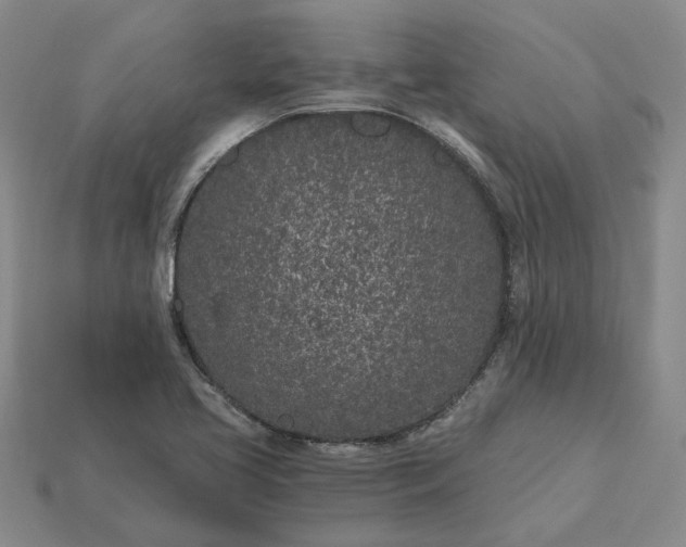X0000115261413200911131736