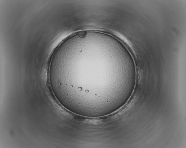 X0000115261415200911131736
