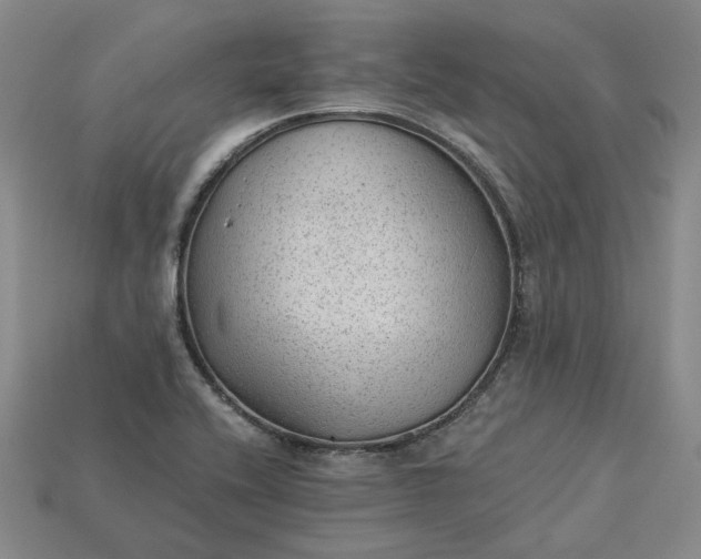 X0000115261416200911131736