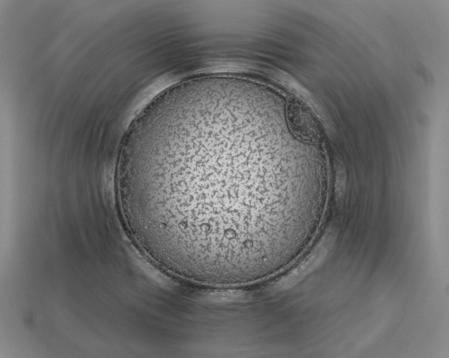 X0000115261417200911131736