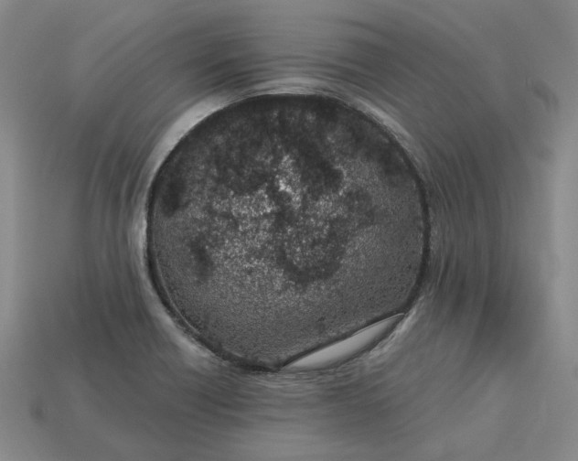 X0000115261418200911131736