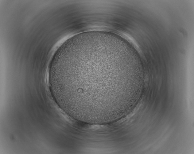 X0000115261419200911131736
