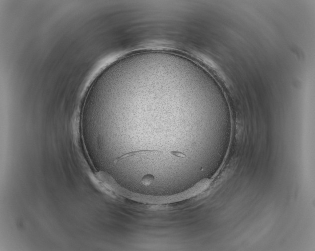 X0000115261421200911131736