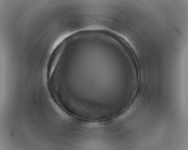 X0000115261422200911131736
