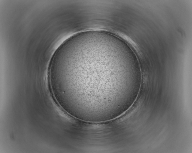 X0000115261423200911131736