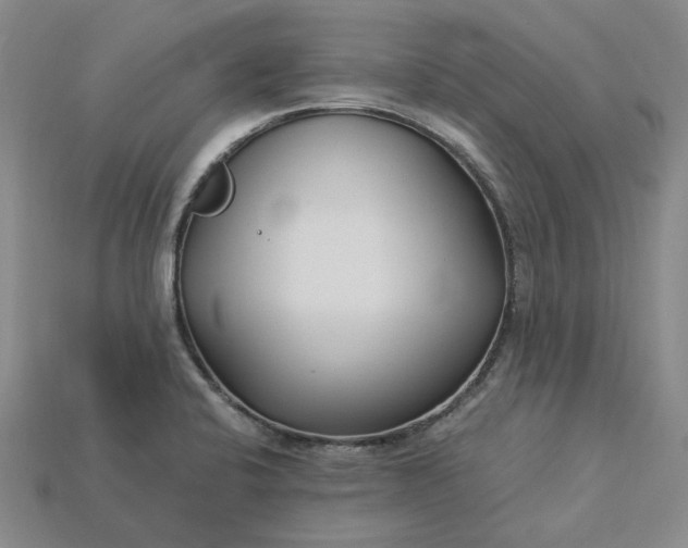 X0000115261424200911131736