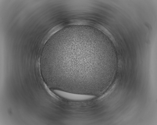 X0000115261425200911131736