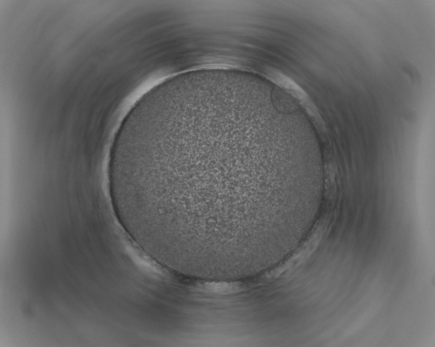 X0000115261427200911131736