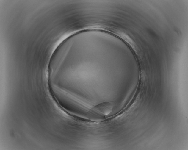 X0000115261428200911131736