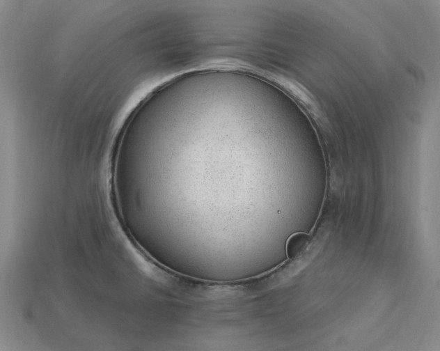 X0000115261430200911131736