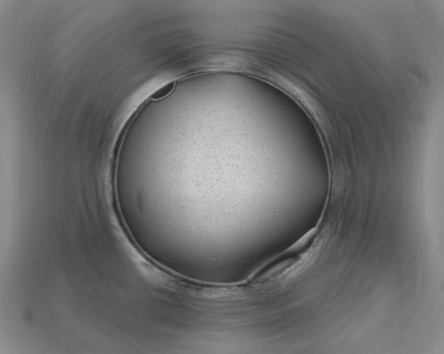 X0000115261434200911131736