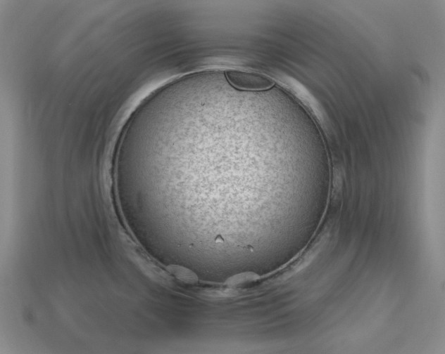 X0000115261435200911131736