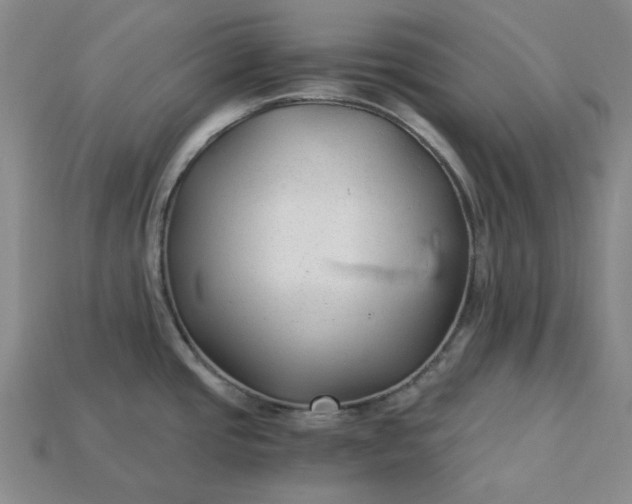 X0000115261437200911131736