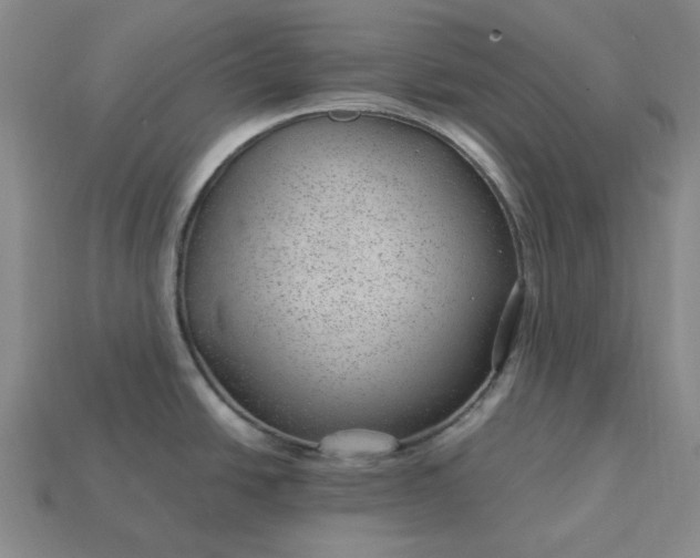 X0000115261438200911131736