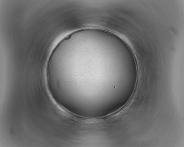 X0000115261440200911131737