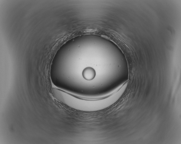 X0000115261441200911131736