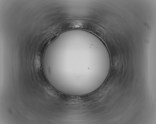X0000115261442200911131736