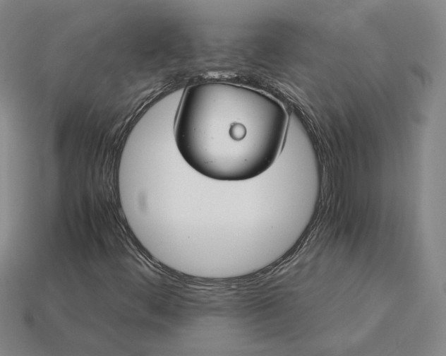 X0000115261444200911131736