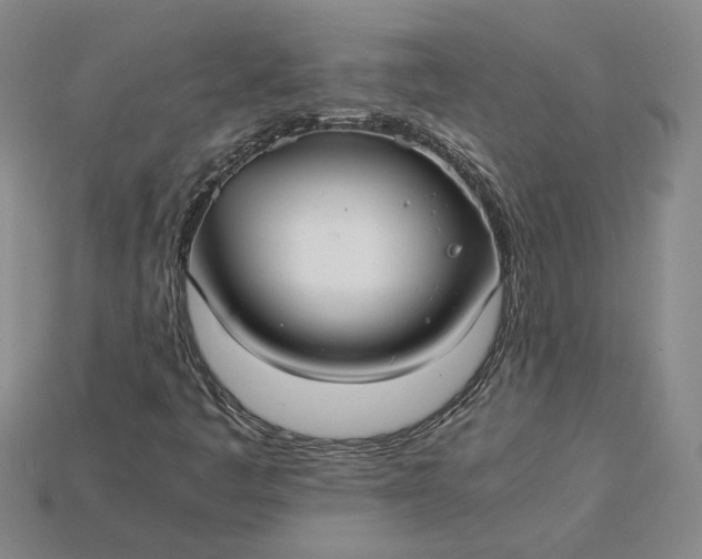 X0000115261445200911131736