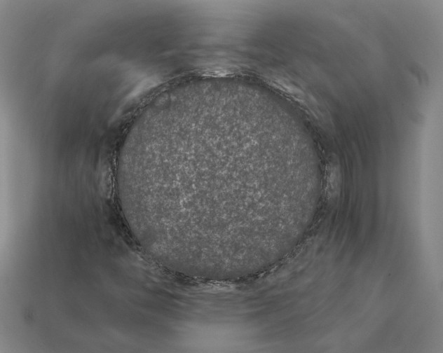 X0000115261446200911131736