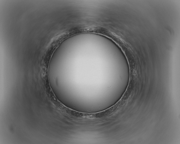 X0000115261447200911131736