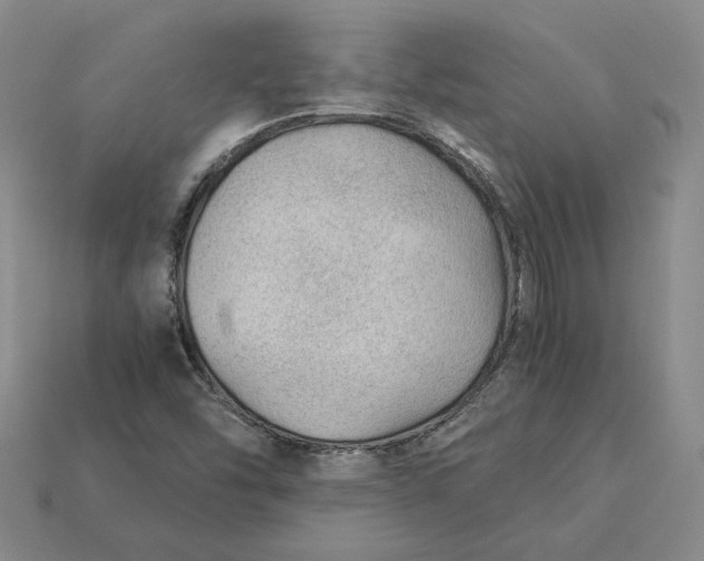 X0000115261454200911131736