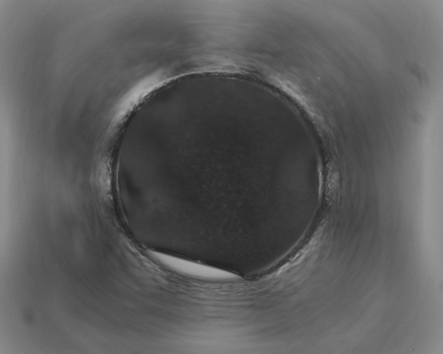 X0000115261455200911131736