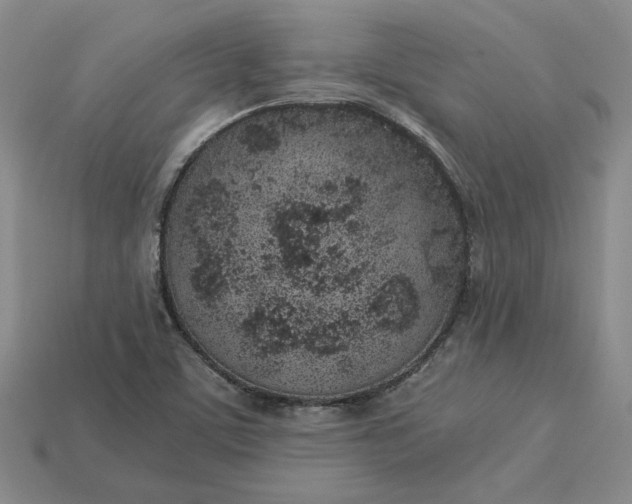 X0000115261459200911131735