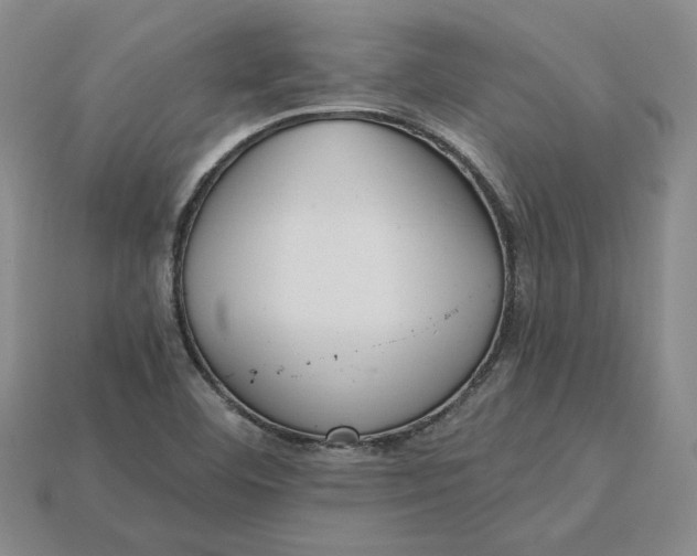 X0000115261460200911131735