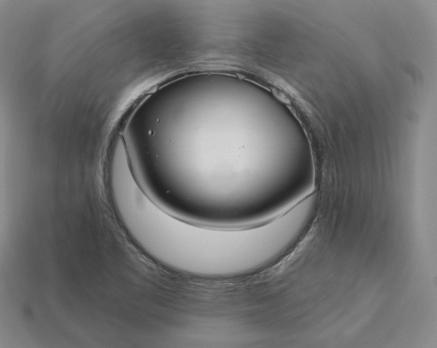 X0000115261461200911131735