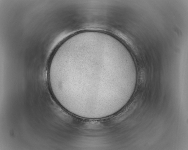 X0000115261462200911131735