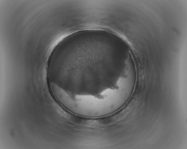 X0000115261463200911131735
