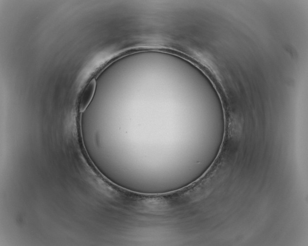 X0000115261464200911131735