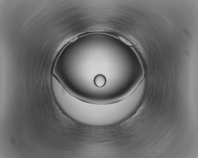 X0000115261465200911131735