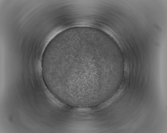 X0000115261466200911131735