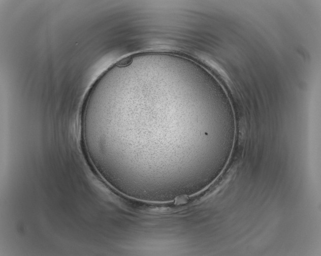 X0000115261467200911131735