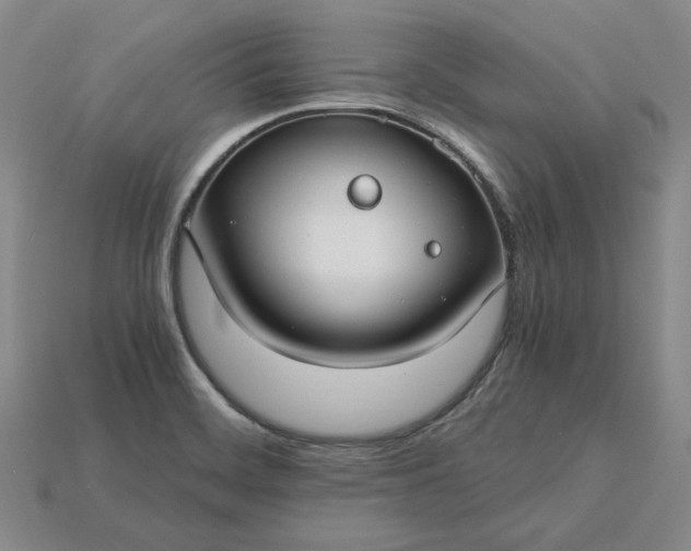 X0000115261468200911131735