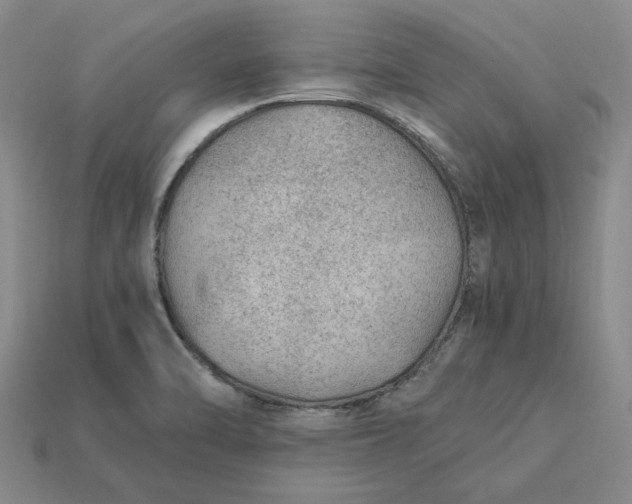 X0000115261470200911131735