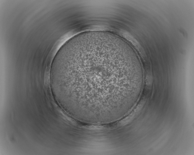 X0000115261473200911131735