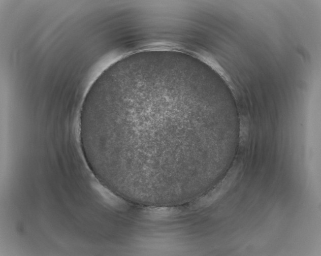 X0000115261474200911131735