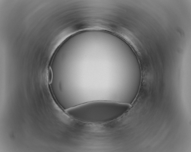 X0000115261476200911131735
