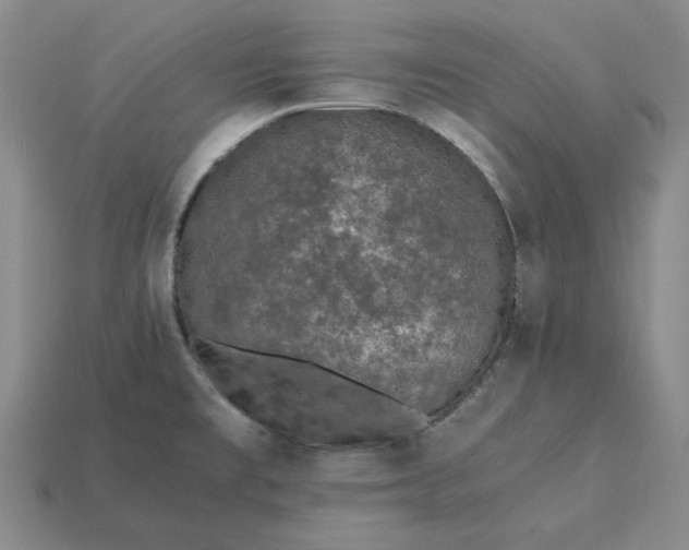 X0000115261477200911131735
