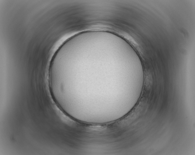 X0000115261478200911131735