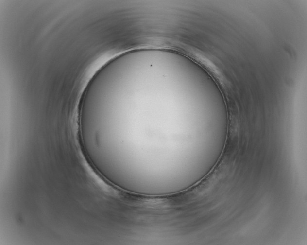 X0000115261479200911131735