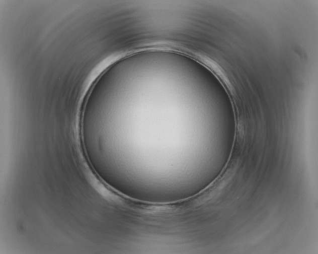 X0000115261482200911131735