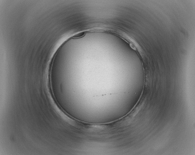 X0000115261483200911131735
