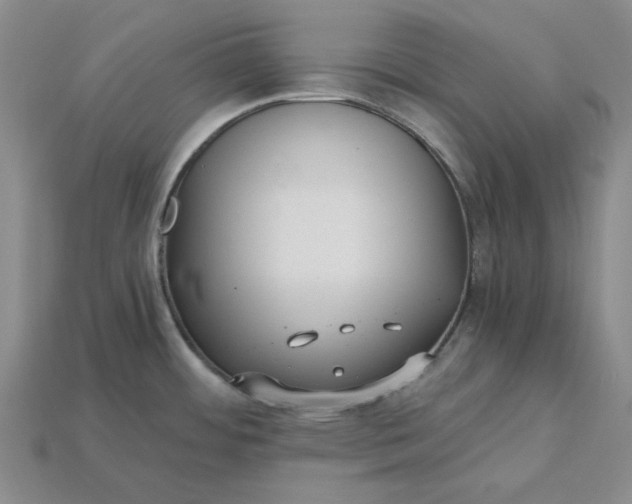 X0000115261484200911131735