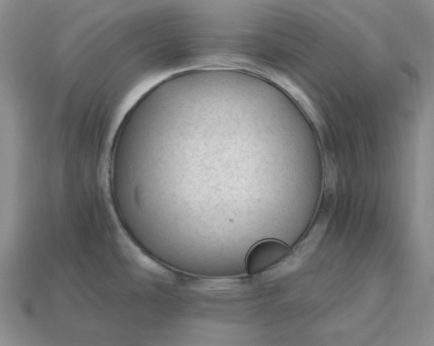X0000115261486200911131735