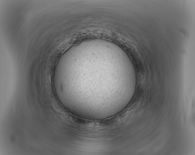 X0000115261489200911131734